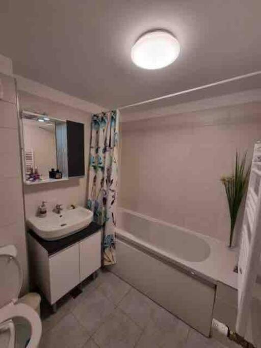 Chic Studio Pallady Apartman Bukarest Kültér fotó